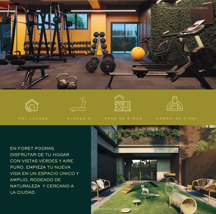 Foret Apartamentos - Miniatura 7