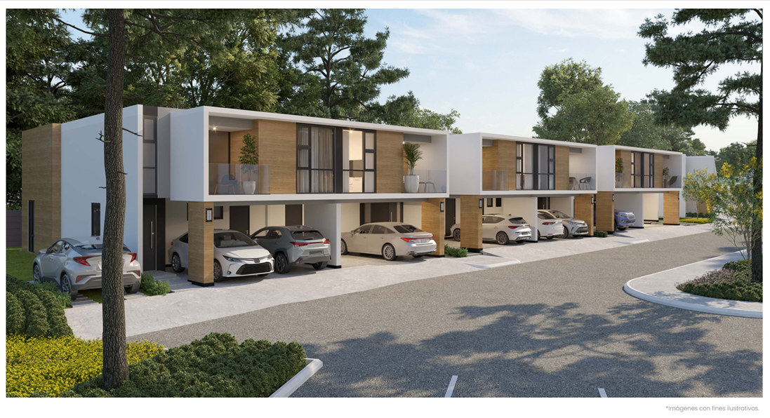 EVERO - Image 4