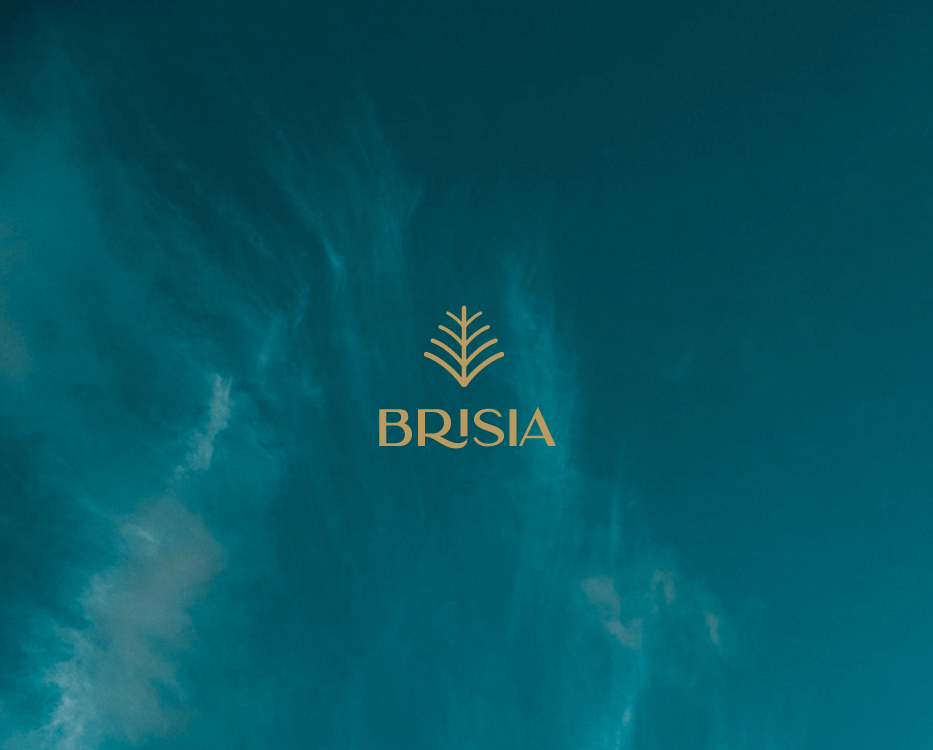 Brisia - Miniatura 2